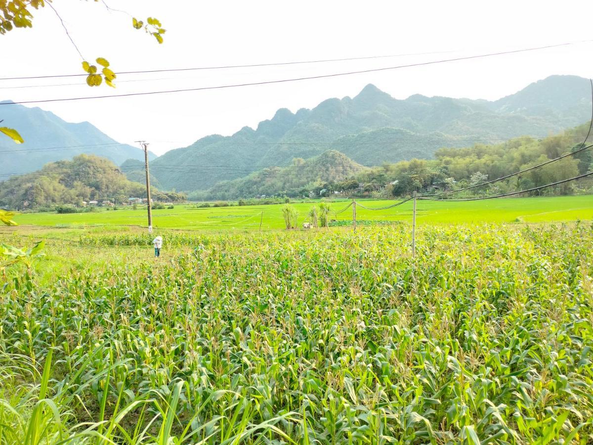Truong Huy Homestay Mai Chau Exteriör bild