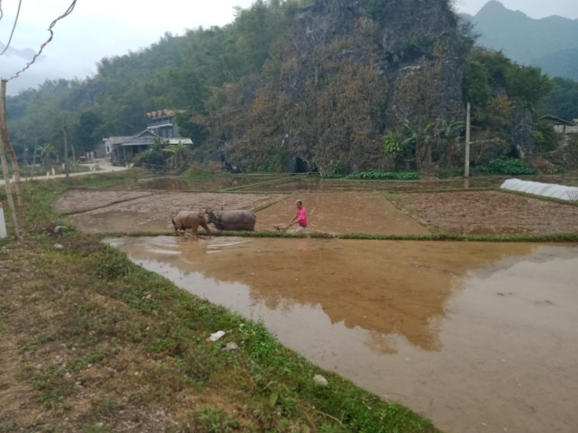 Truong Huy Homestay Mai Chau Exteriör bild